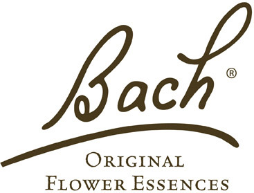 Brand choice