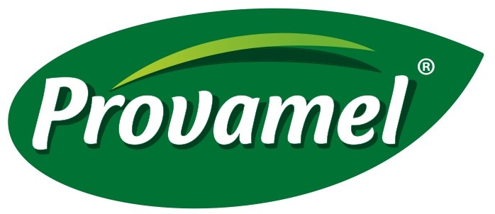 Brand choice