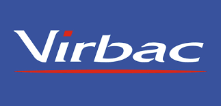 Brand choice