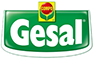 Brand choice