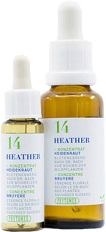 PHYTOMED Bachblüten No14 Heidekraut Flasche, 10 ml