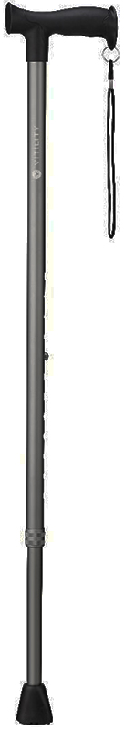 Vitility Gehstock anthrazit