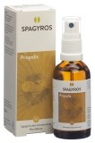 SPAGYROS SPAGYRIK Propolis Spray, 50 ml