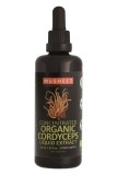 Naturkraftwerke Cordyceps Extrakt konzentriert Bio kbA, 100 ml