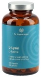 Dr. NIedermaier L-Lysin Kapseln, 120 Stück