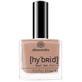  ALESSANDRO Vernis Gel Hybrid Soul Sinful Glow 8 ml