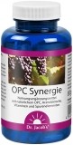 Dr. Jacob's OPC synergie extrait de pépins de raisin 120 capsules