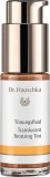 DR HAUSCHKA Tönungsfluid