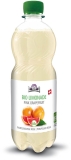 Holderhof Grapefruit Erfrischungsgetränk Bio, 5 dl