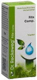 RECKEWEG R56 Filix Comp. Tropfen Fl 50 ml