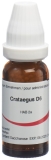 OMIDA Crataegus Glob D 6 14 g