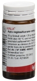 WALA Apis regina/Aurum comp Glob 20 g