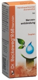 RECKEWEG R68 Nervisin Tropfen Fl 50 ml