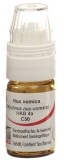 OMIDA Nux vomica Globuli C30 mit Dosierhilfe, 4 g