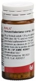 WALA Aurum/Valeriana comp Globuli, 20 g
