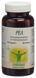 CHRISANA PEA Capsules, 90 pièces