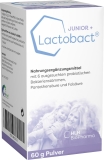 LACTOBACT JUNIOR + pdr 60 g
