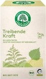 Lebensbaum Treibende Kraft Kräutertee Beutel, 20 Stück