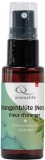 AROMALIFE hydrolat fleurd d'oranger spr 30 ml