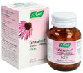 ECHINAMED forte comprimés résistance refroidissement, 120 pièces