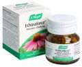 VOGEL Echinaforce Resistenz Erkältung Tabletten, 120 Stück