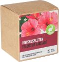 DIXA Karkade / Hibiskusblüten DIX Bio Box Pyramidenbeutel, 20 Stück