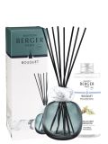MAISON BERGER bouquet parfumé minéral  blau & Duft thé blanc pureté 180 ml