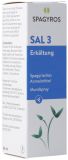 SPAGYROS SAL 3 Erkältung Mundspray, 30 ml