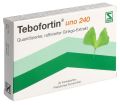 TEBOFORTIN uno 240 comprimés pelliculés 240 mg, 20 pièces