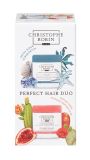 ROBIN soins Cheveux Perfect Hair Duo