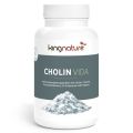 Kingnature Cholin Vida Kapseln 350 mg, 90 Stück