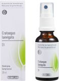 PHYTOMED GEMMO Crataegus laevigata liq D 1 30 ml