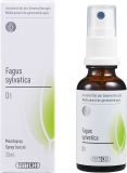 PHYTOMED GEMMO Fagus sylvatica liq D 1 Spr 30 ml