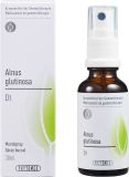 PHYTOMED GEMMO Alnus glutinosa liq D 1 Spr 30 ml