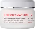 Börlind Energynature Regenerierende Nachtcrème