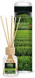 ESSENCE OF NATURE Bâtons classiques Thé vert, 50 ml