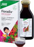 Floradix Eisen + Vitamine für Kinder, 250 ml