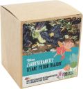 DIXA Tisane Potion magique Bio boîte sachets pyramidals, 20 pièces