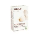 HAWLIK Coprinus Extrakt + Pulver Kapseln, 60 Stück