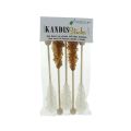 HERBORISTERIA sucre candi baton midi assorti, 5 pièces