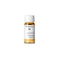 DR HAUSCHKA Gesichtsöl, 5 ml