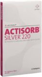 ACTISORB SILVER 220 compr charb 19x10.5cm 10 pièces