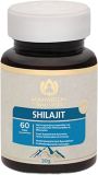 Ayurveda Shilajit Tabletten, 60 Stück