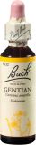 Bachblüten Original Gentian No12