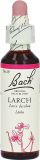 Bachblüten Original Larch No19