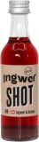 BioLand Steinmaur Shot de gingembre et d'aronia, 50 ml