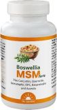 Dr. Jacob's Boswellia MSM forte encens 90 pièces