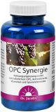 Dr. Jacob's OPC Synergie Traubenkernextrakt Kapseln, 120 Stück