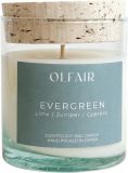 OLFAIR Duftkerze Evergreen, 230 g