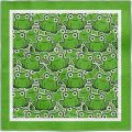 Magic Towel Magisches Handtuch Happy Animals Frosch